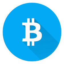 crypto forest